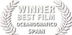 liquid motion film awards spain